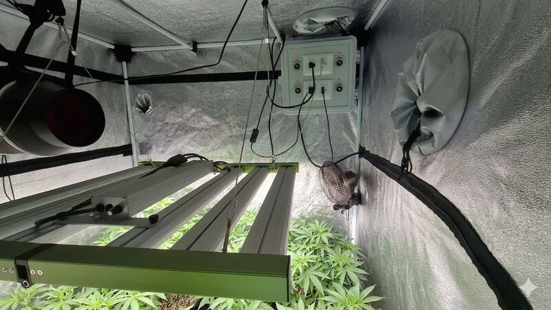 เมื่อ นวก.คอมฯ สวมบทคนปลูกพืชระบบปิด